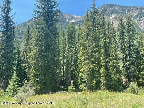 $310,000 | 3950 County Road 3, Carbondale, CO 81623