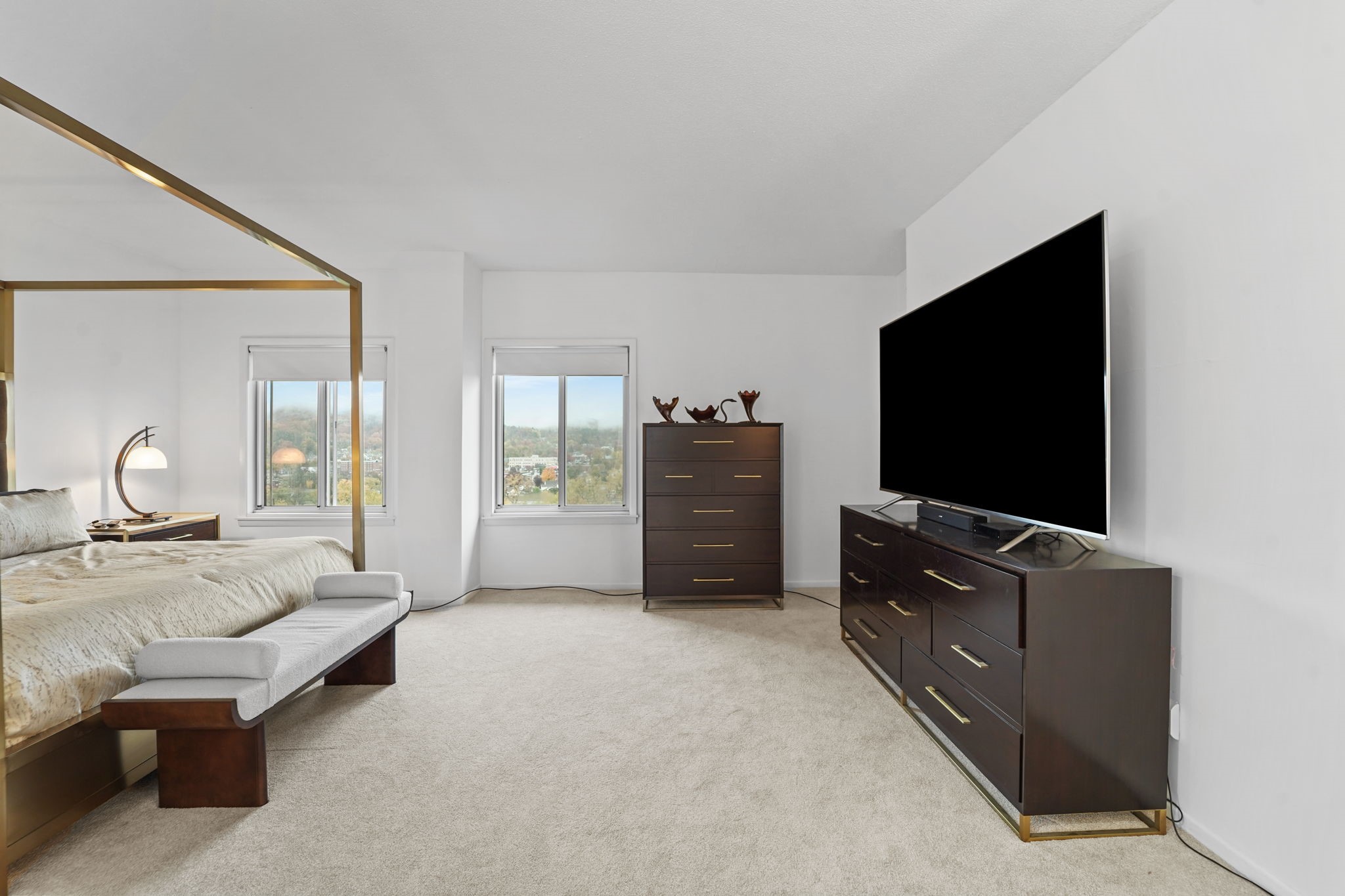 5 Riverside Drive, Unit 1102 Binghamton, NY 13905 - Photo 14 of 29