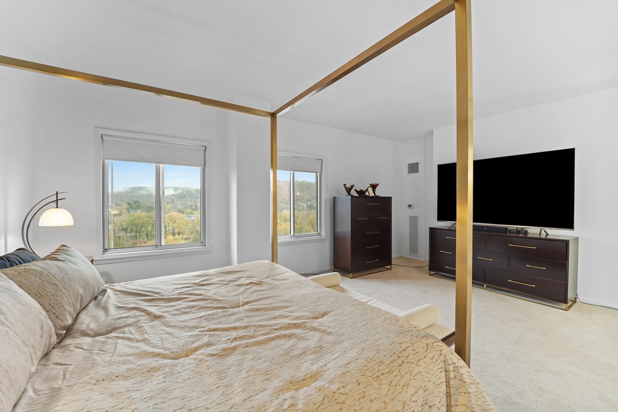 5 Riverside Drive, Unit 1102 Binghamton, NY 13905 - Photo 15 of 29