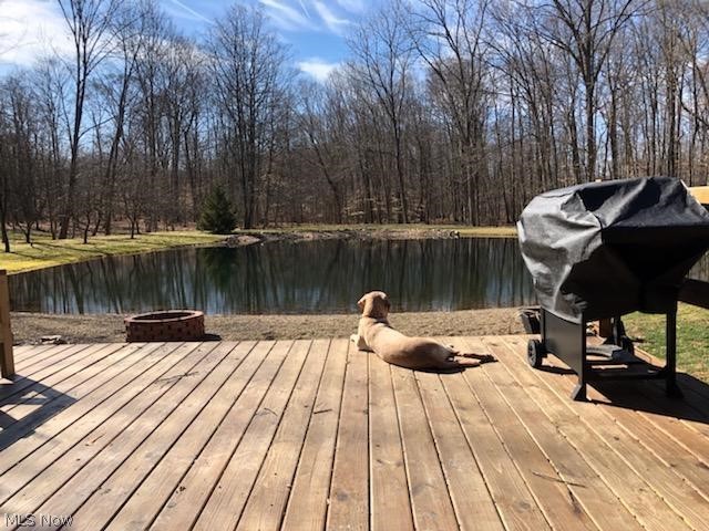 7310 Ballash Road Medina, OH 44256 - Photo 25 of 30 Gallery Image 25