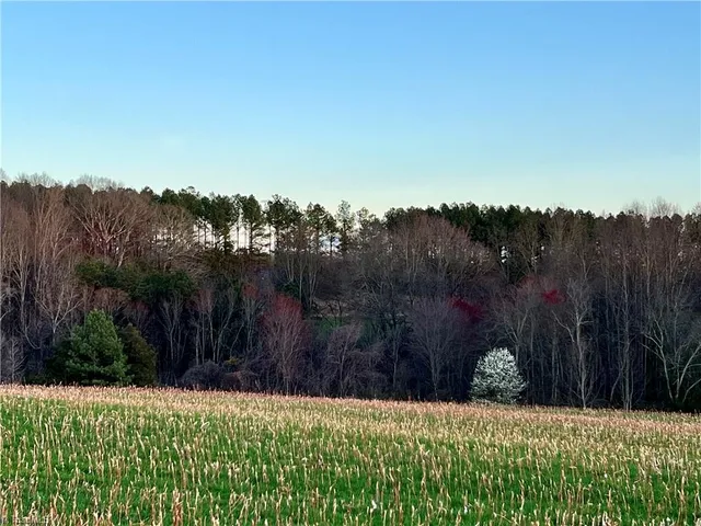 $1,450,000 | 82-ac Friendship Road, Statesville, NC 28625