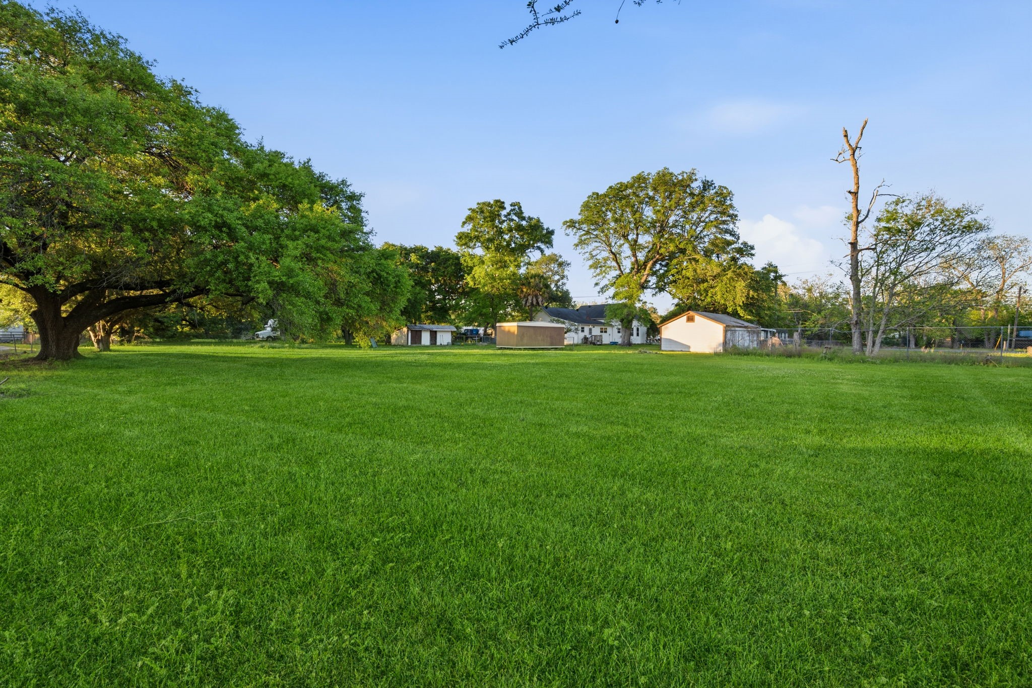 804 North Cleveland Street Dayton, TX 77535 - Photo 29 of 29 a view of a trees with a big yard