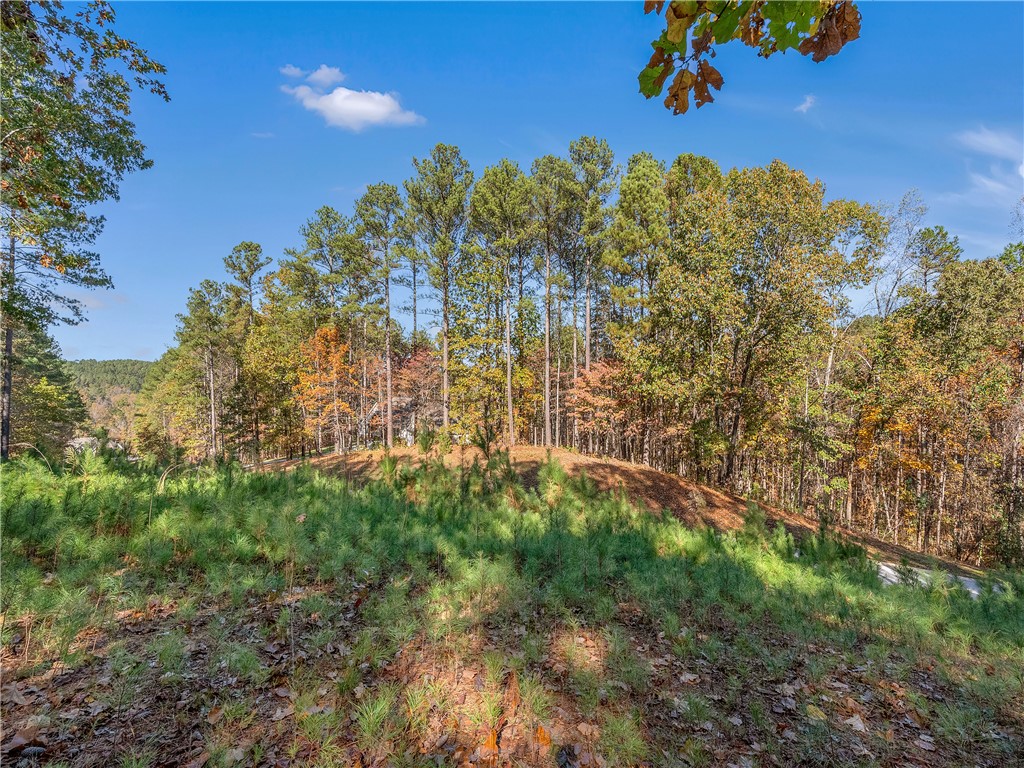 Lot 83 Waterside Crossing Seneca, SC 29672 - Photo 14 of 24