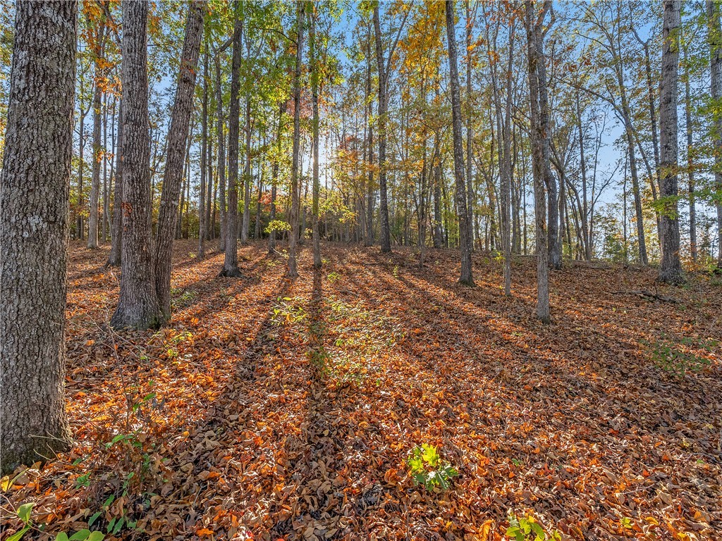 Lot 83 Waterside Crossing Seneca, SC 29672 - Photo 16 of 24