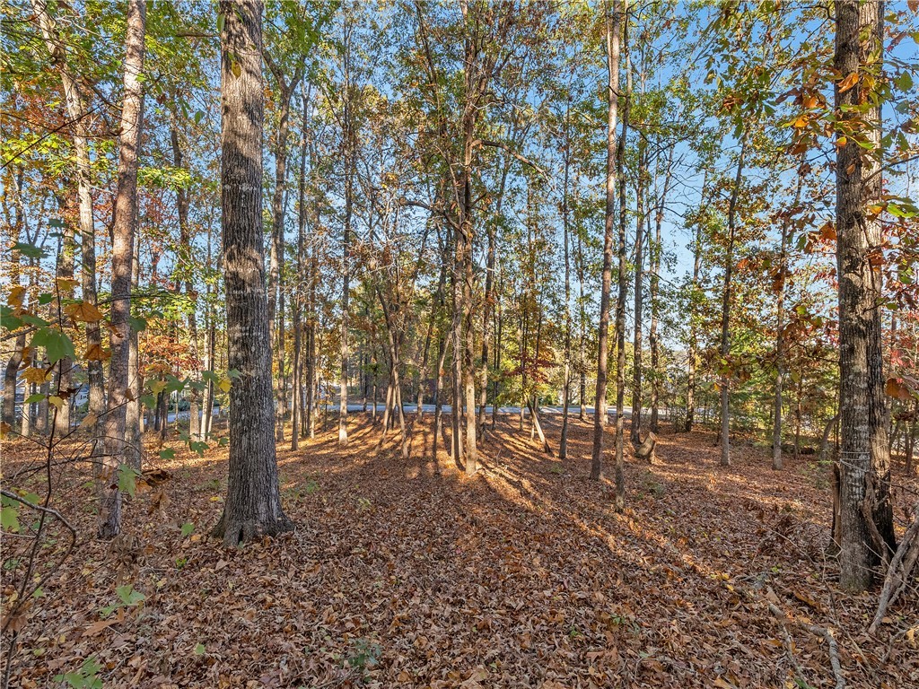 Lot 83 Waterside Crossing Seneca, SC 29672 - Photo 18 of 24