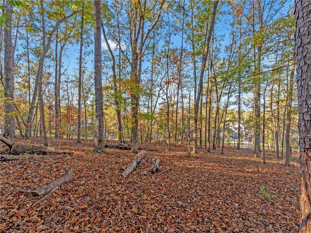Lot 83 Waterside Crossing Seneca, SC 29672 - Photo 19 of 24
