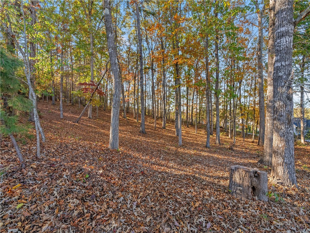 Lot 83 Waterside Crossing Seneca, SC 29672 - Photo 20 of 24