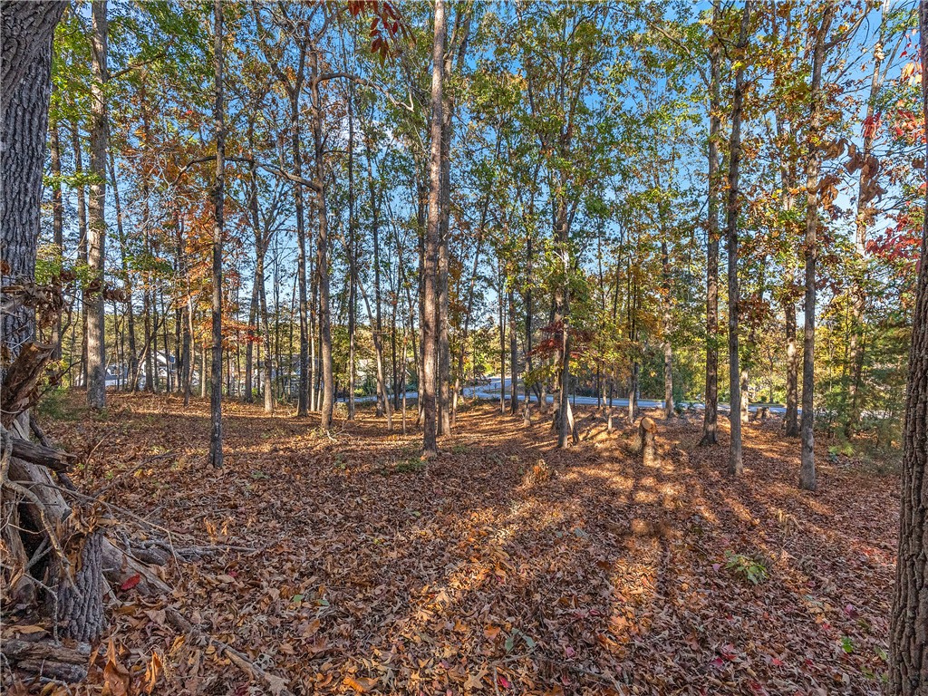 Lot 83 Waterside Crossing Seneca, SC 29672 - Photo 21 of 24