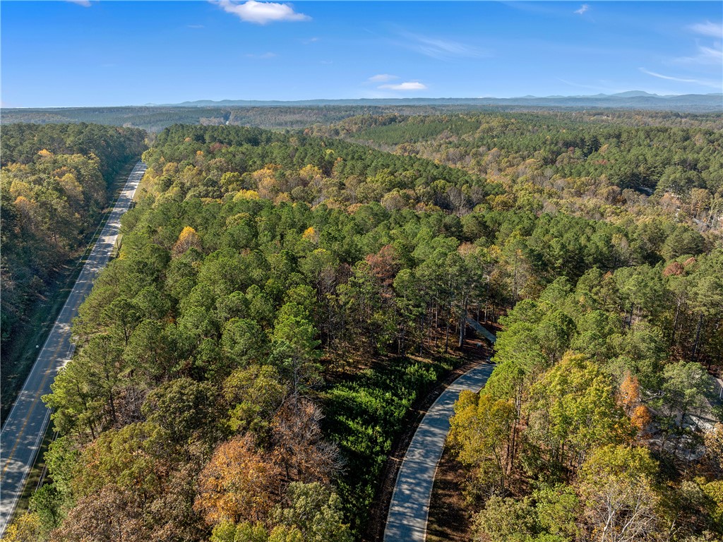 Lot 83 Waterside Crossing Seneca, SC 29672 - Photo 22 of 24