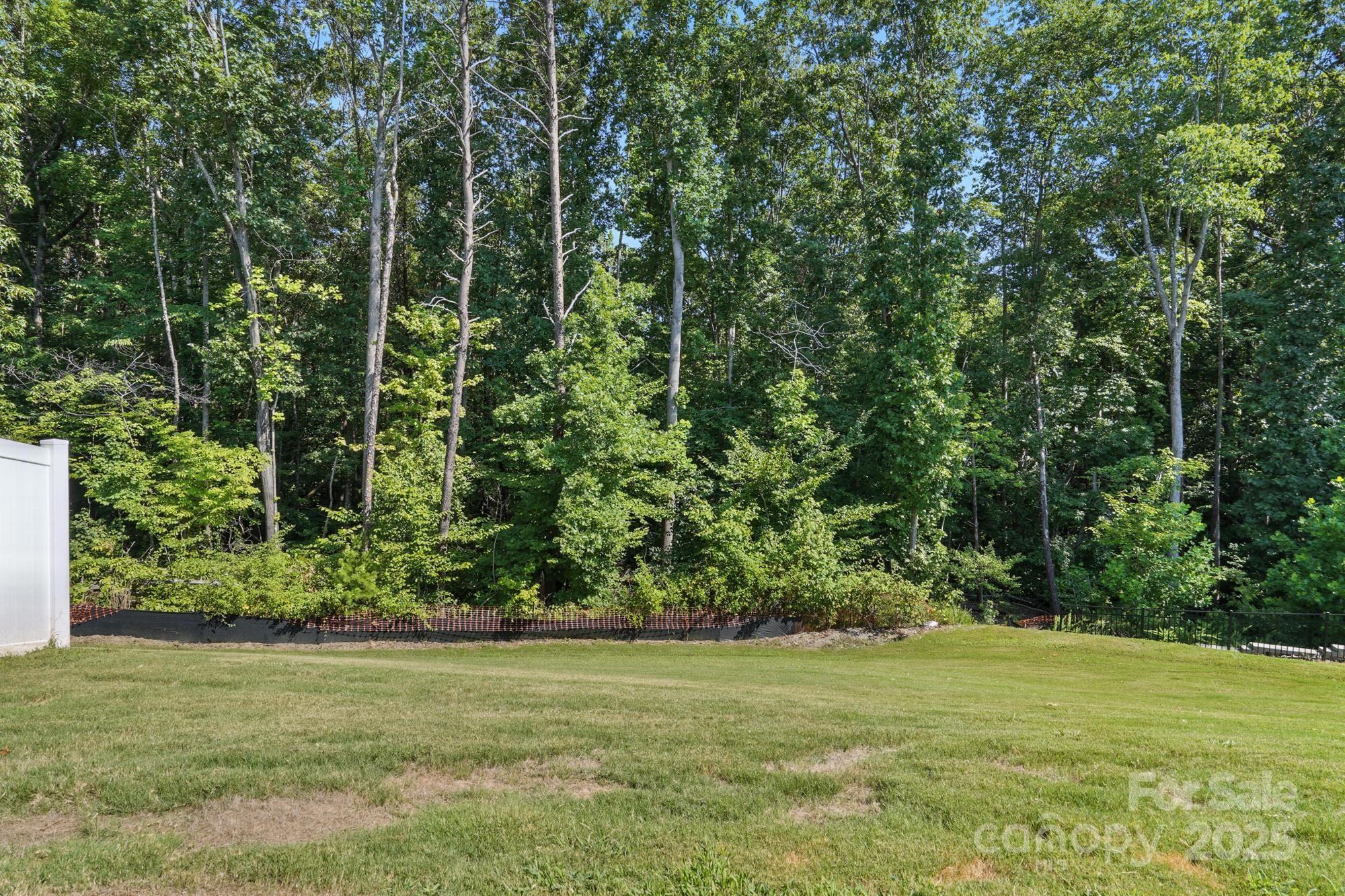 7882 Iron Road Sherrills Ford, NC 28673 - Photo 45 of 46 a view of a field with a trees in the background