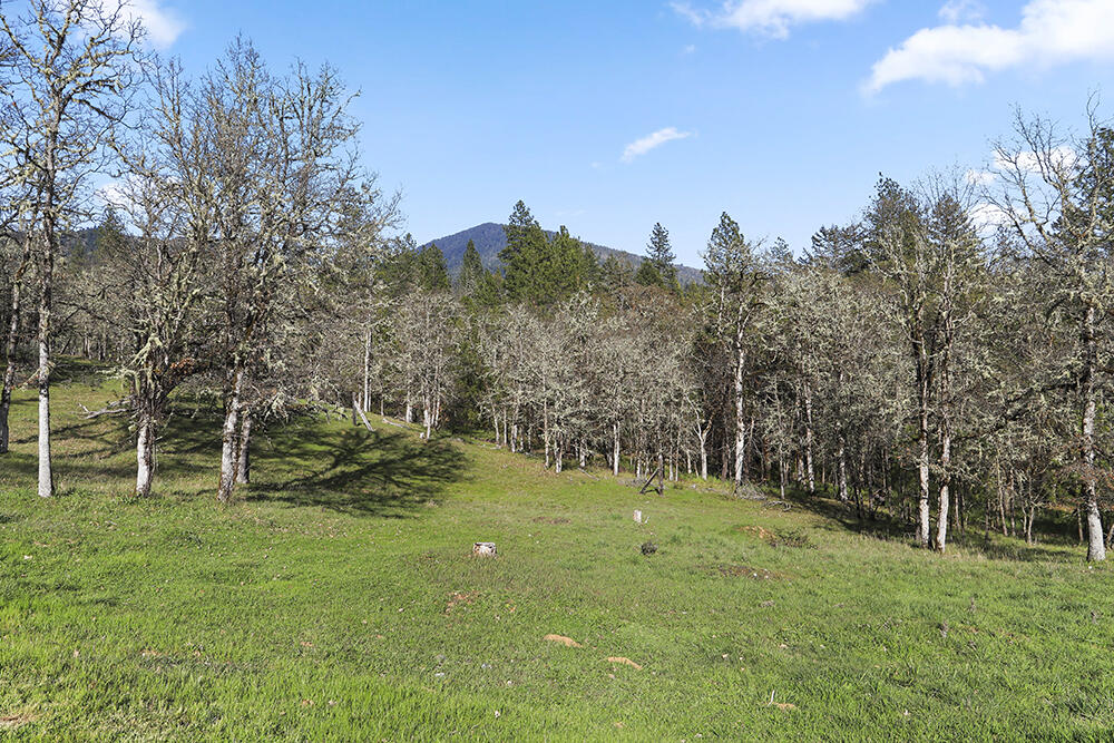 5535 Tunnel Loop Road Grants Pass, OR 97526 - Photo 24 of 29 29