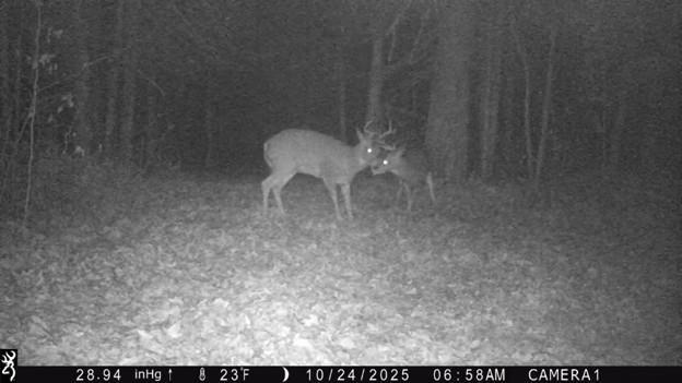 44047 Little Pine Road, Unit 568 ACRES Emily, MN 56447 - Photo 81 of 92