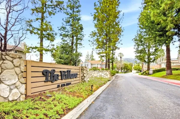 a view of a street with a large trees
