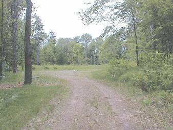 275 Leonhardt Road Becket, MA 01223 - Photo 1 of 2 a view of a field with trees in the background
