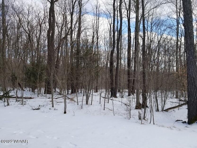 347 Winnies Road Canton, PA 17724 - Photo 64 of 80 Gallery Image 64