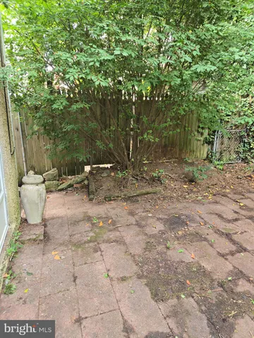 a view of a yard with trees