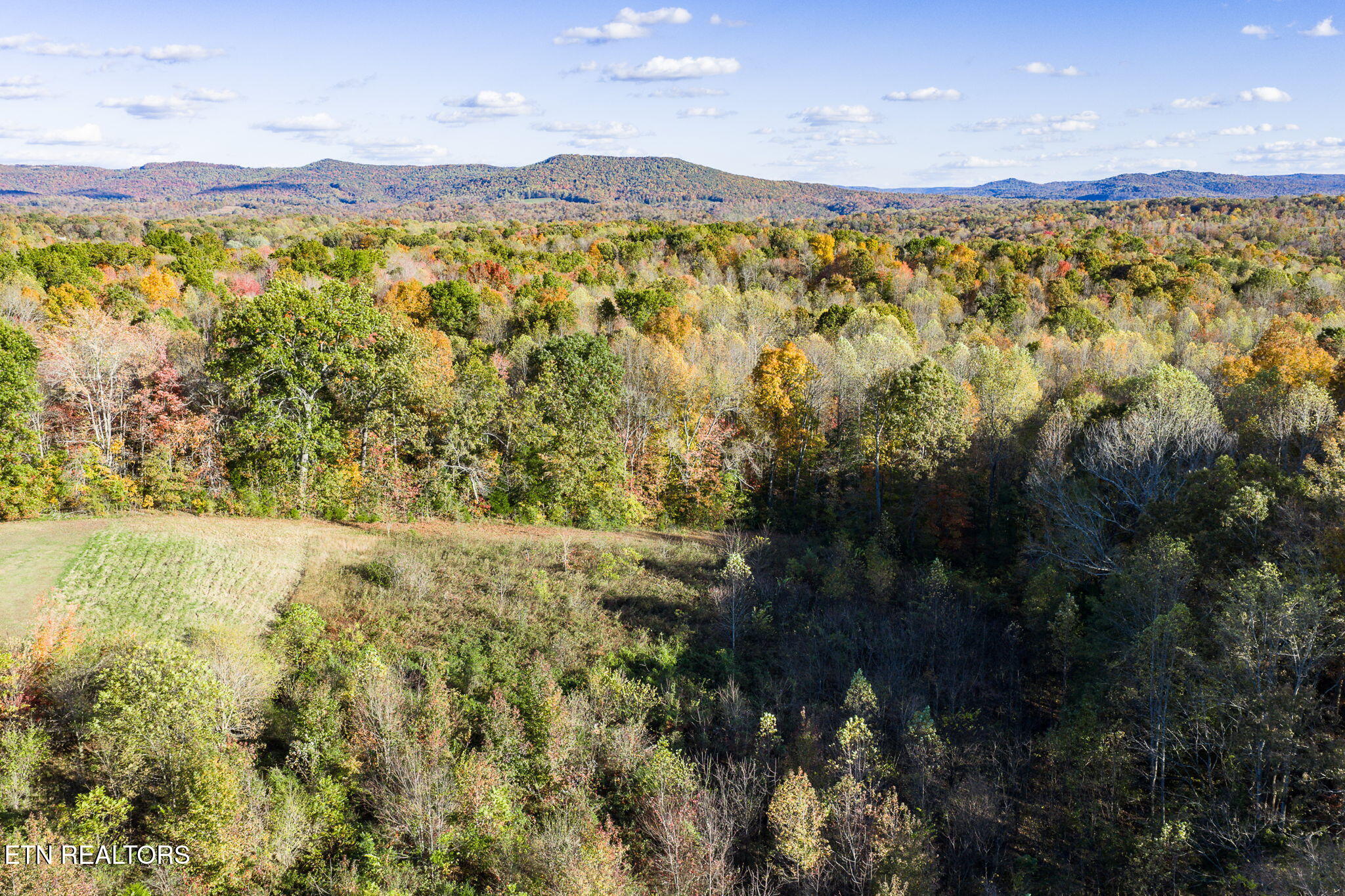 7316 Oak Grove Road Monroe, TN 38573 - Photo 20 of 26 25-web-or-mls-7316 Oak Grove Rd_053_TNPC