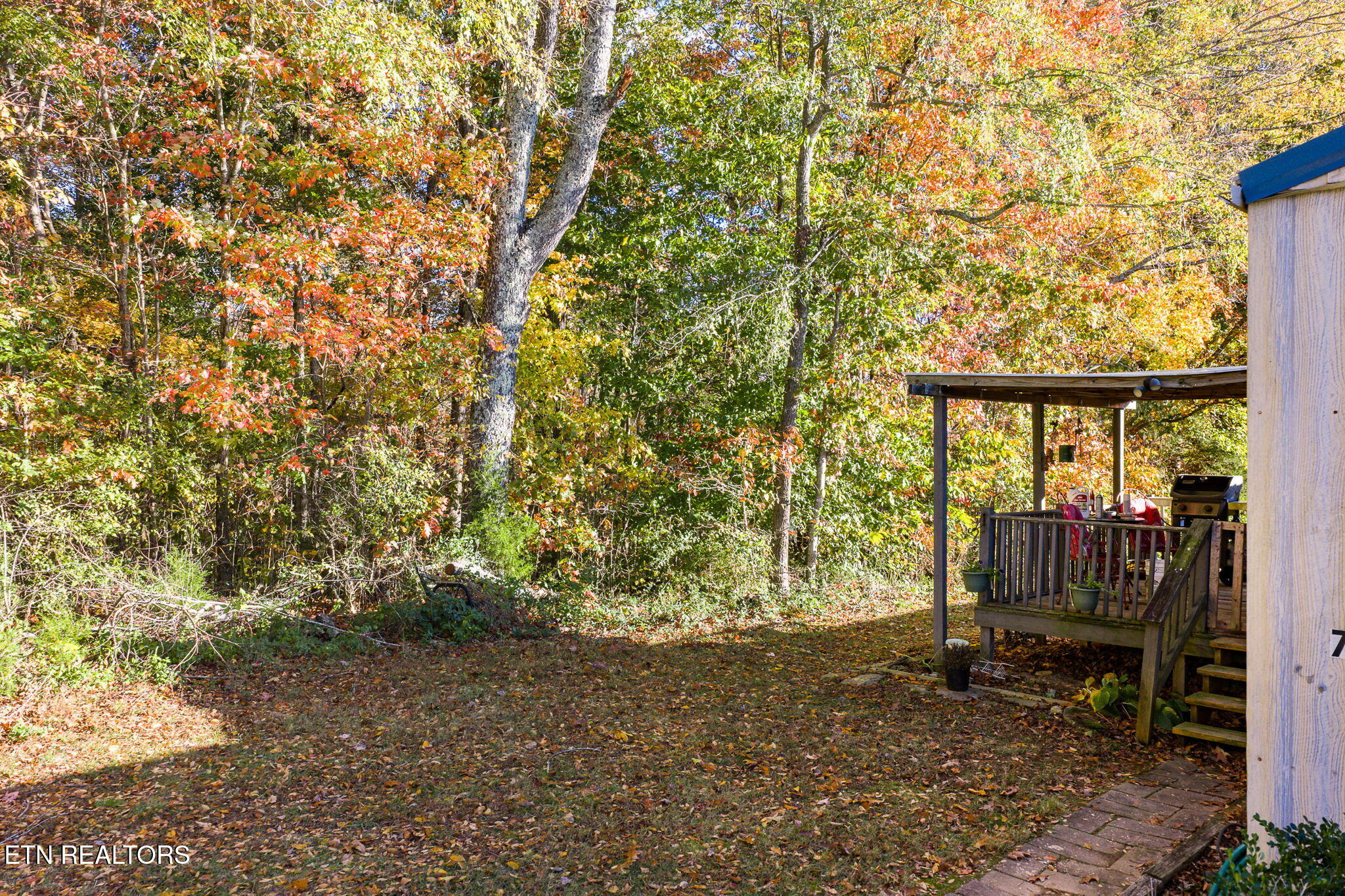 7316 Oak Grove Road Monroe, TN 38573 - Photo 26 of 26 31-web-or-mls-7316 Oak Grove Rd_083_TNPC