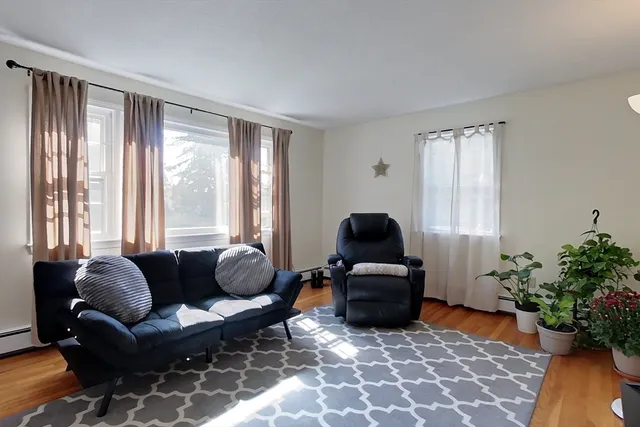 a living room with furniture potted plant and a window