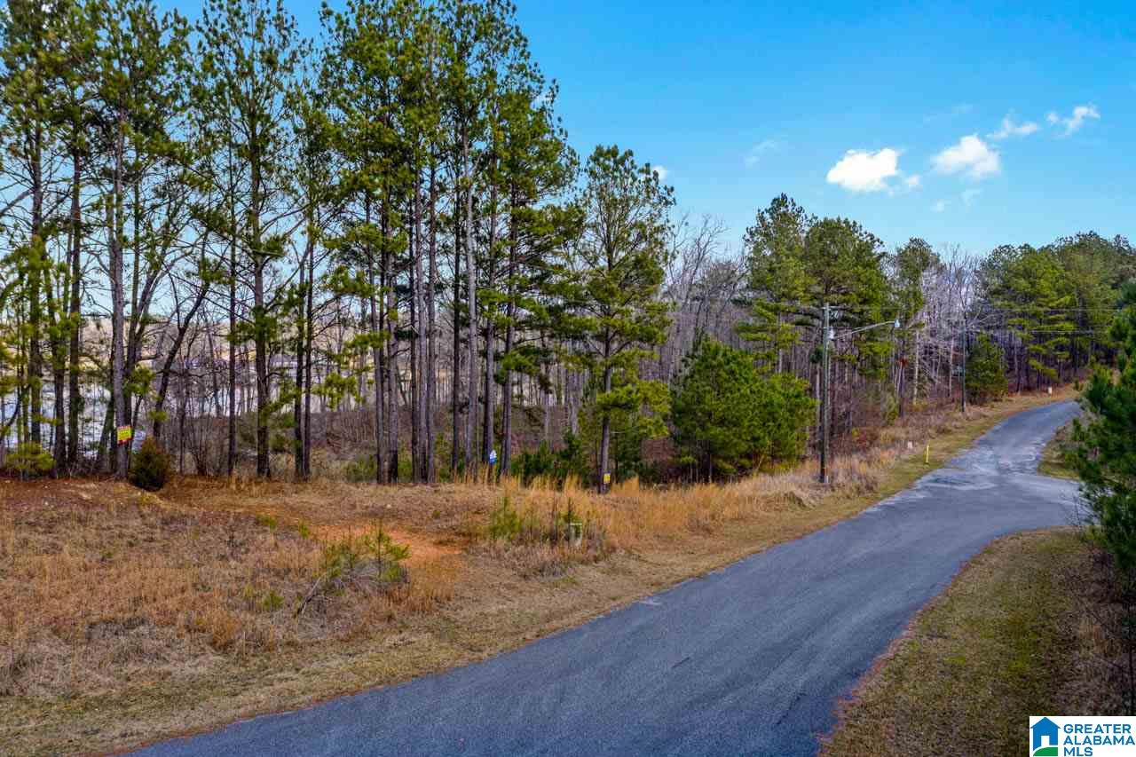 Castaway Road Sylacauga, AL 35151 - Photo 9 of 28