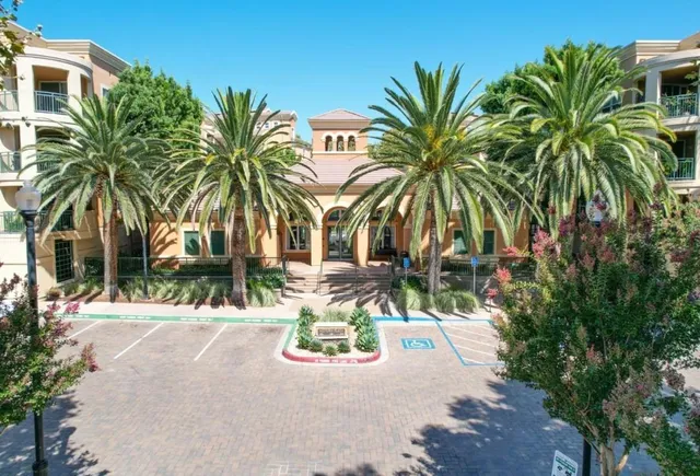 a view of a backyard with a palm trees