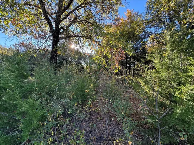 $219,000 | 20 Timber Trail, Tioga, TX 76271