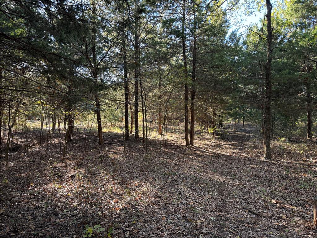 20 Timber Trail Tioga, TX 76271 - Photo 7 of 10