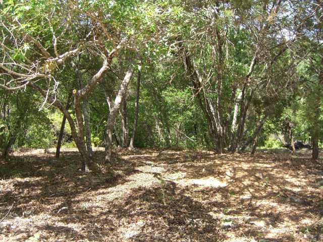 0 Paisano Road Austin, TX 78746 - Photo 1 of 1 a view of outdoor space with trees