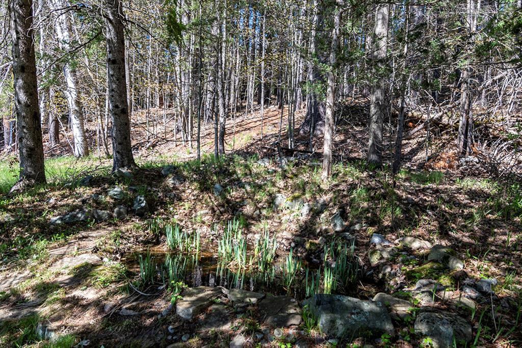 25 Trumbulls Road Jay, NY 12941 - Photo 30 of 43 Gallery Image 30
