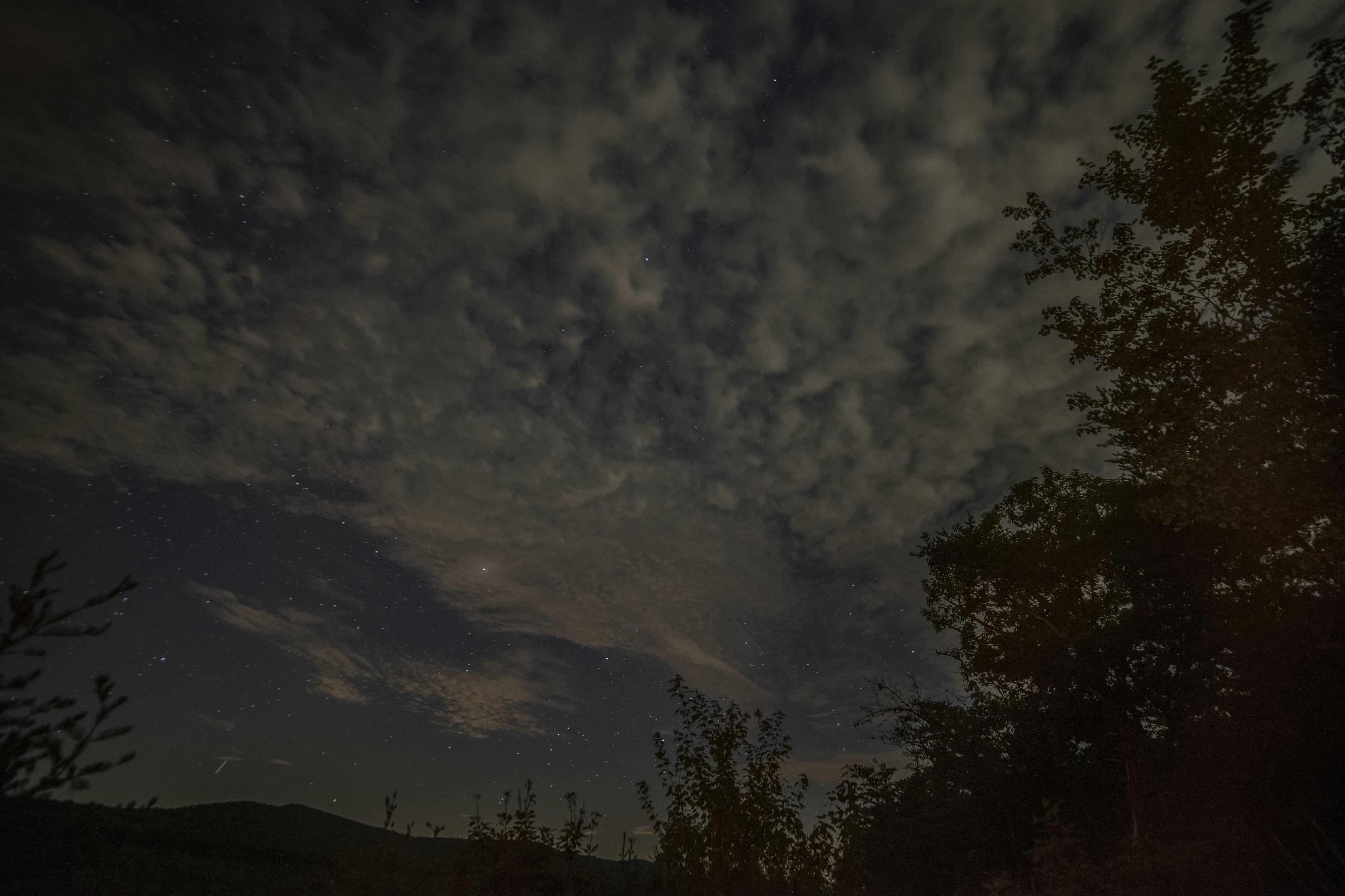 115 High Flats Road Monterey, TN 38574 - Photo 11 of 20 The night sky