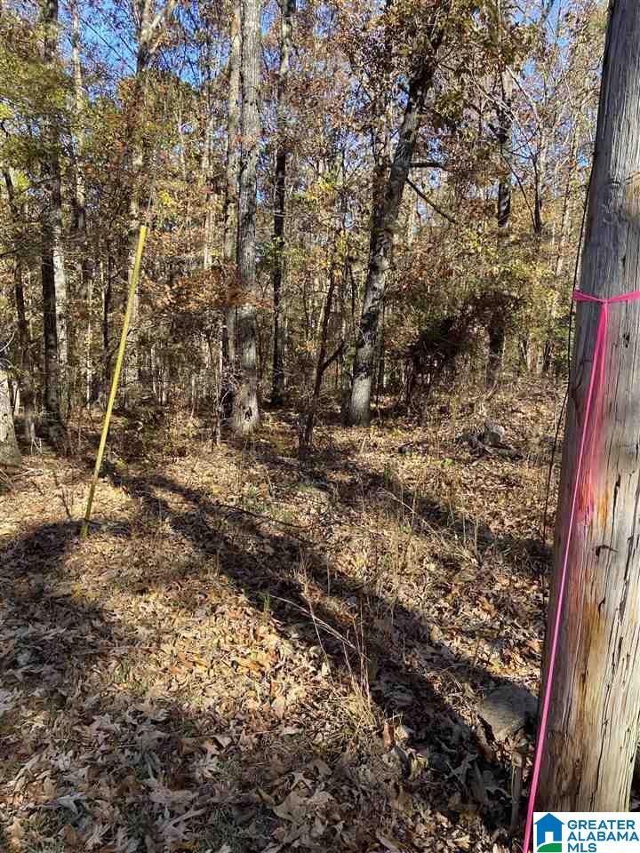 Rosser Lane, Unit 1 Bessemer, AL 35022 - Photo 5 of 5