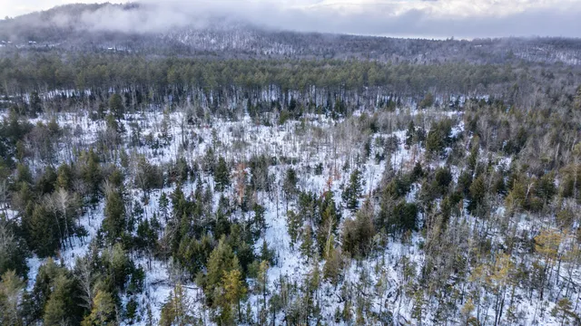 $249,000 | Lot 7-001 Crouse Road, Bethel, ME 04217