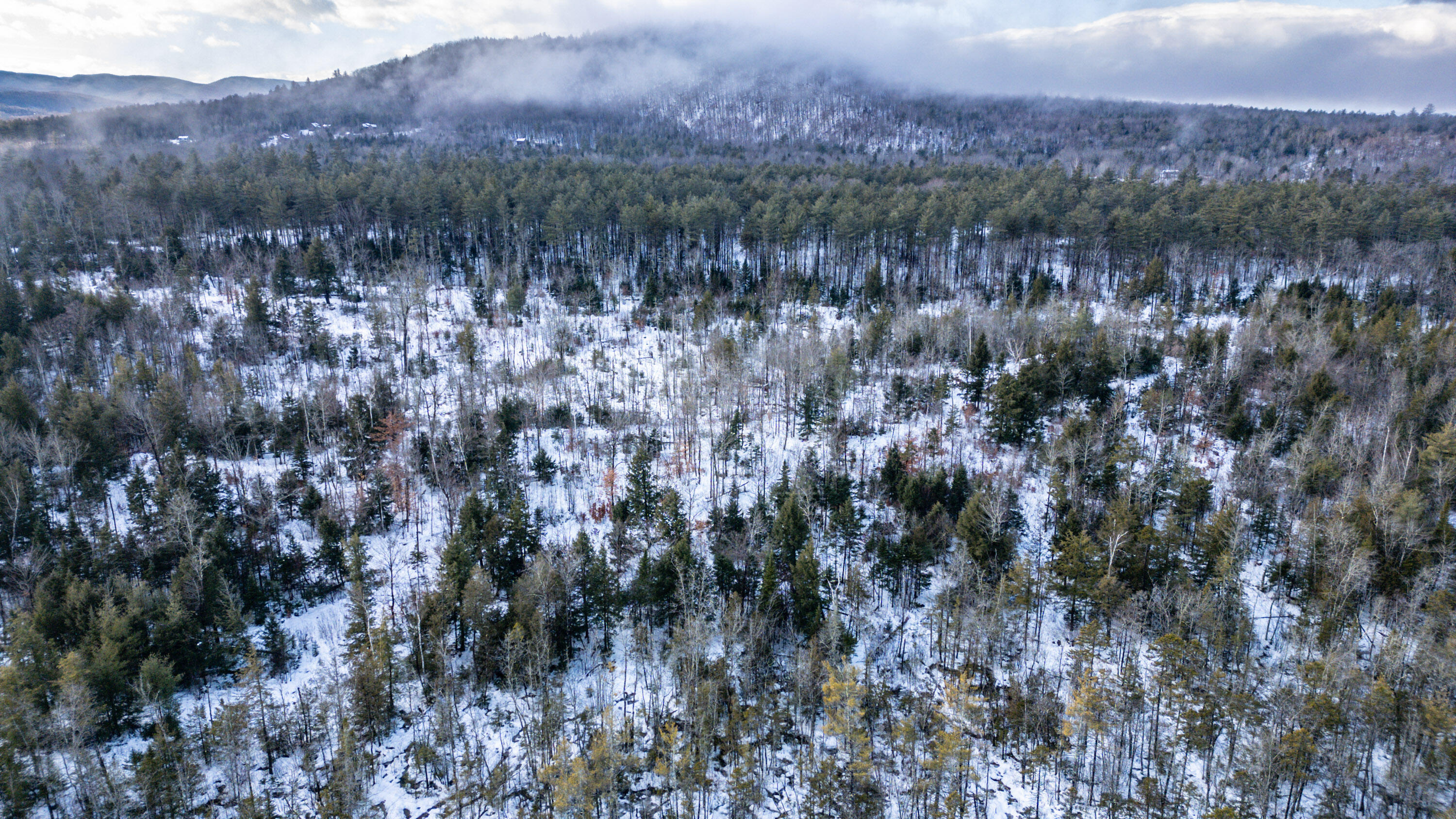 Lot 7-001 Crouse Road Bethel, ME 04217 - Photo 20 of 21 20241217gp-61018