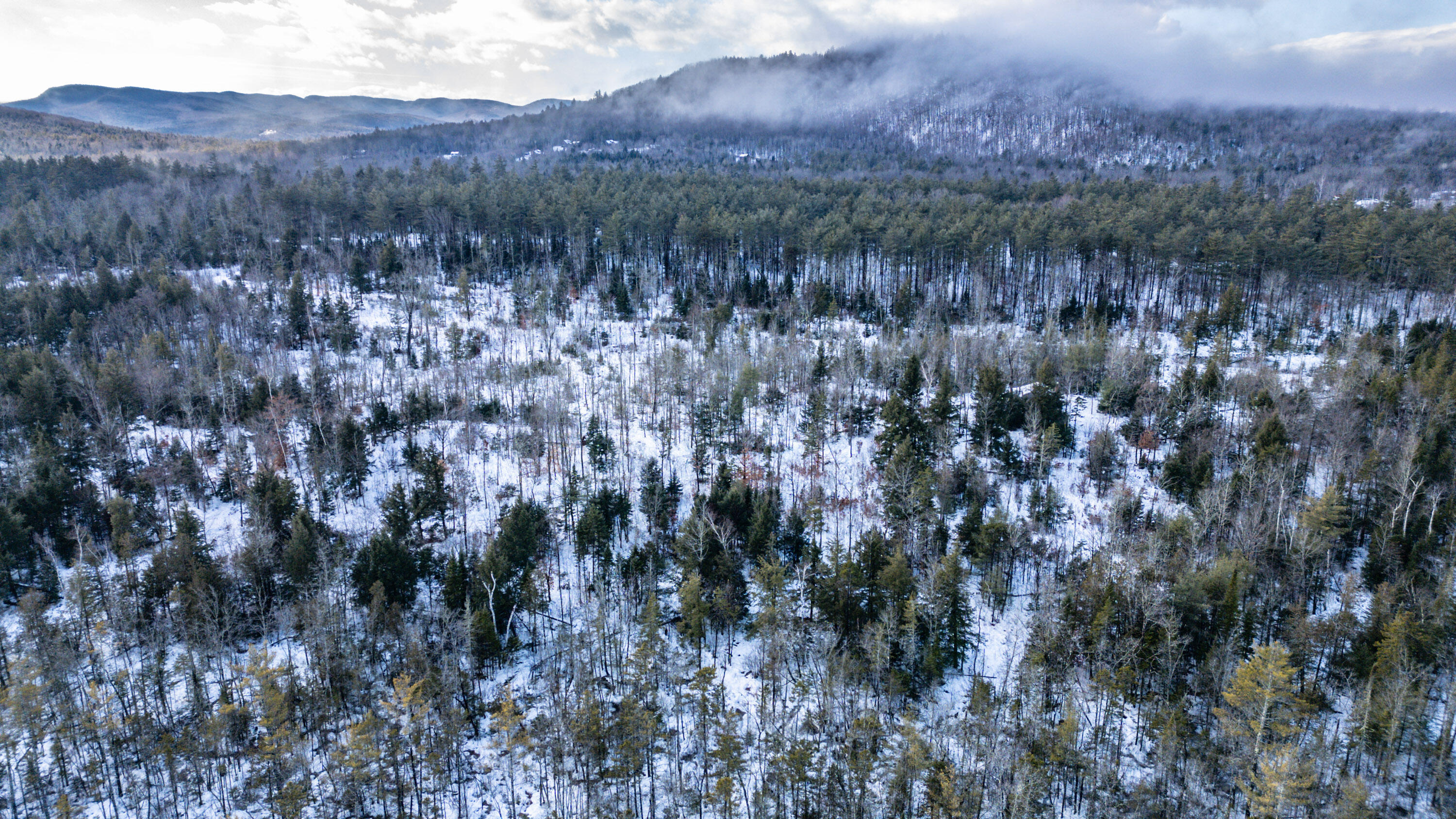 Lot 7-001 Crouse Road Bethel, ME 04217 - Photo 21 of 21 20241217gp-61019