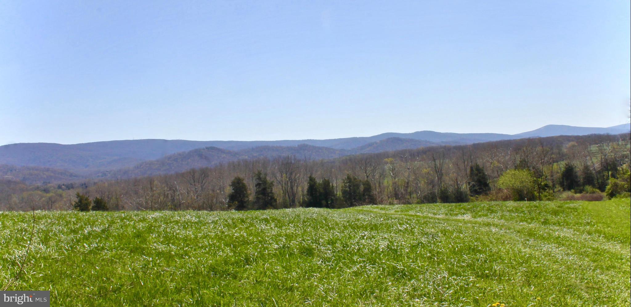 2593 Red Gate Road Boyce, VA 22620 - Photo 23 of 29 The Blue Ridge