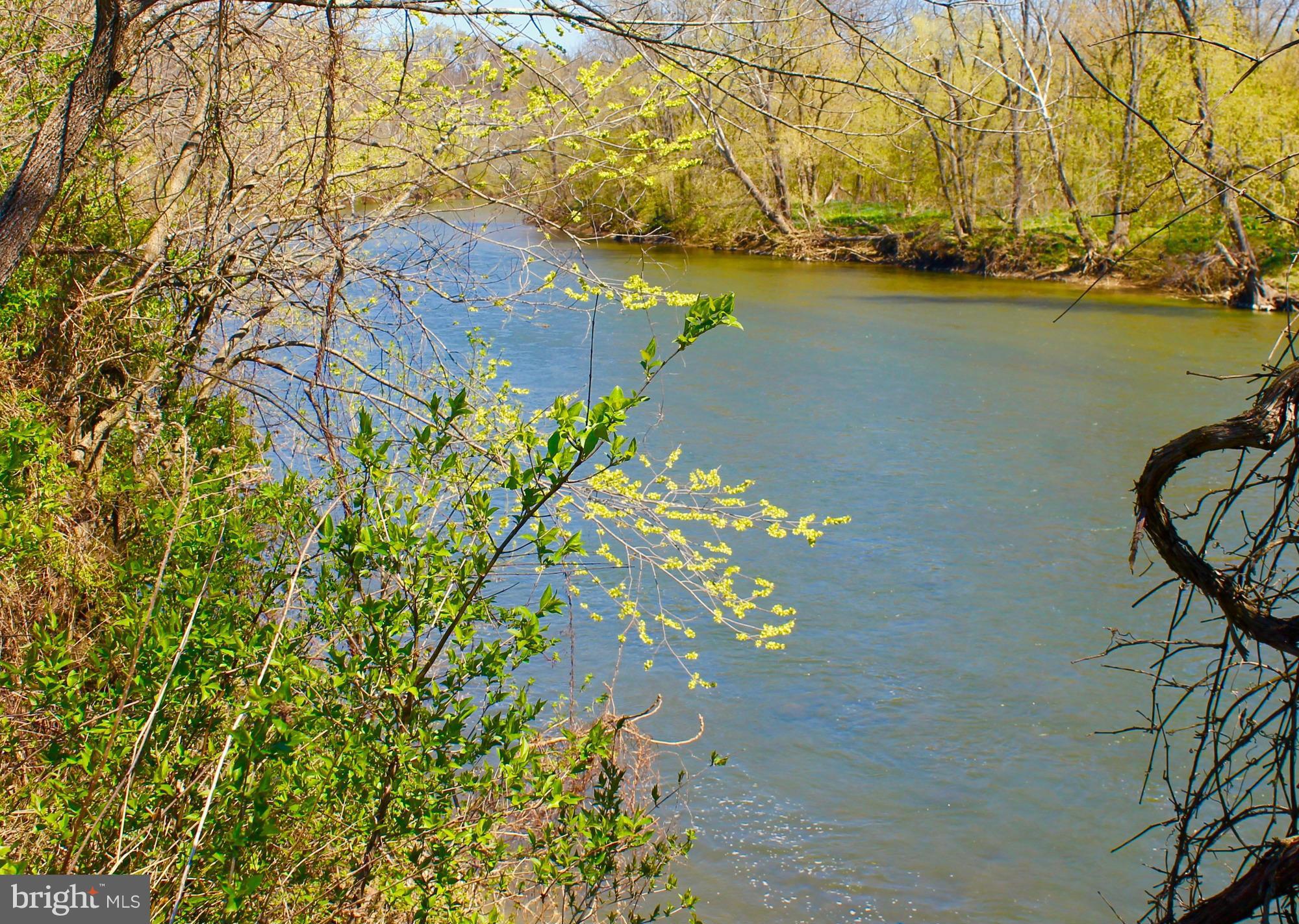 2593 Red Gate Road Boyce, VA 22620 - Photo 25 of 29 793 Feet of Shenandoah River Frontage