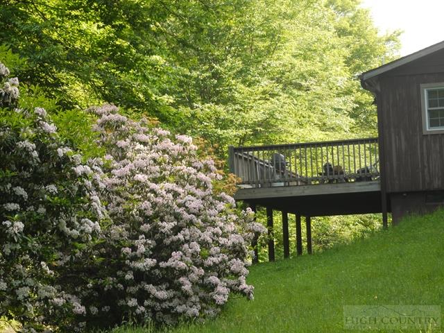 1571 New Vale Road Newland, NC 28657 - Photo 11 of 12 Gallery Image 11