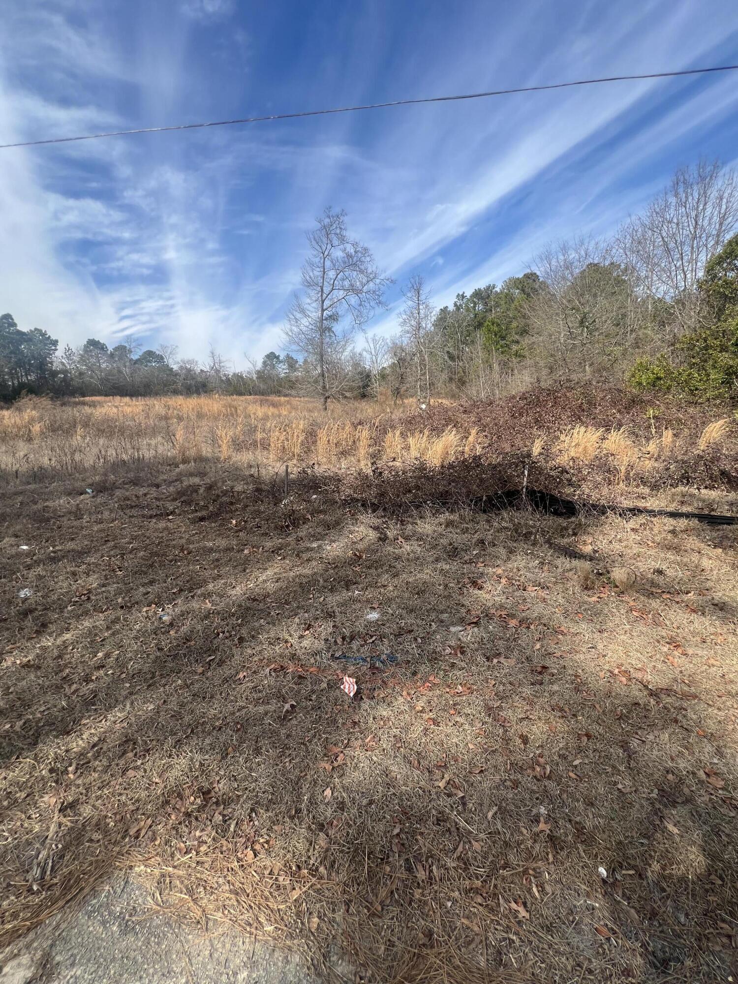 1650 Broad Street Leesville, SC 29070 - Photo 7 of 8