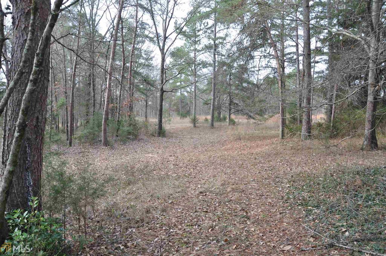 0 Sander Cemetery Road Cedartown, GA 30125 - Photo 1 of 1