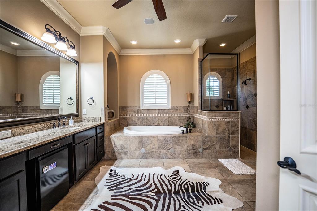 6739 Eagle Ridge Boulevard Lakeland, FL 33813 - Photo 12 of 54 a spacious bathroom with a granite countertop sink and a mirror