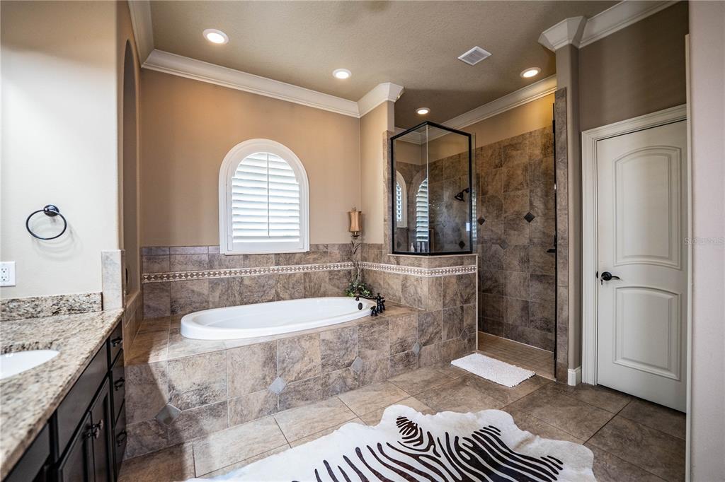 6739 Eagle Ridge Boulevard Lakeland, FL 33813 - Photo 13 of 54 a bathroom with a granite countertop sink a toilet and shower