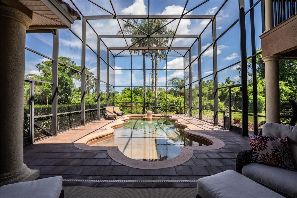 6739 Eagle Ridge Boulevard Lakeland, FL 33813 - Photo 47 of 54 a view of a swimming pool with a patio