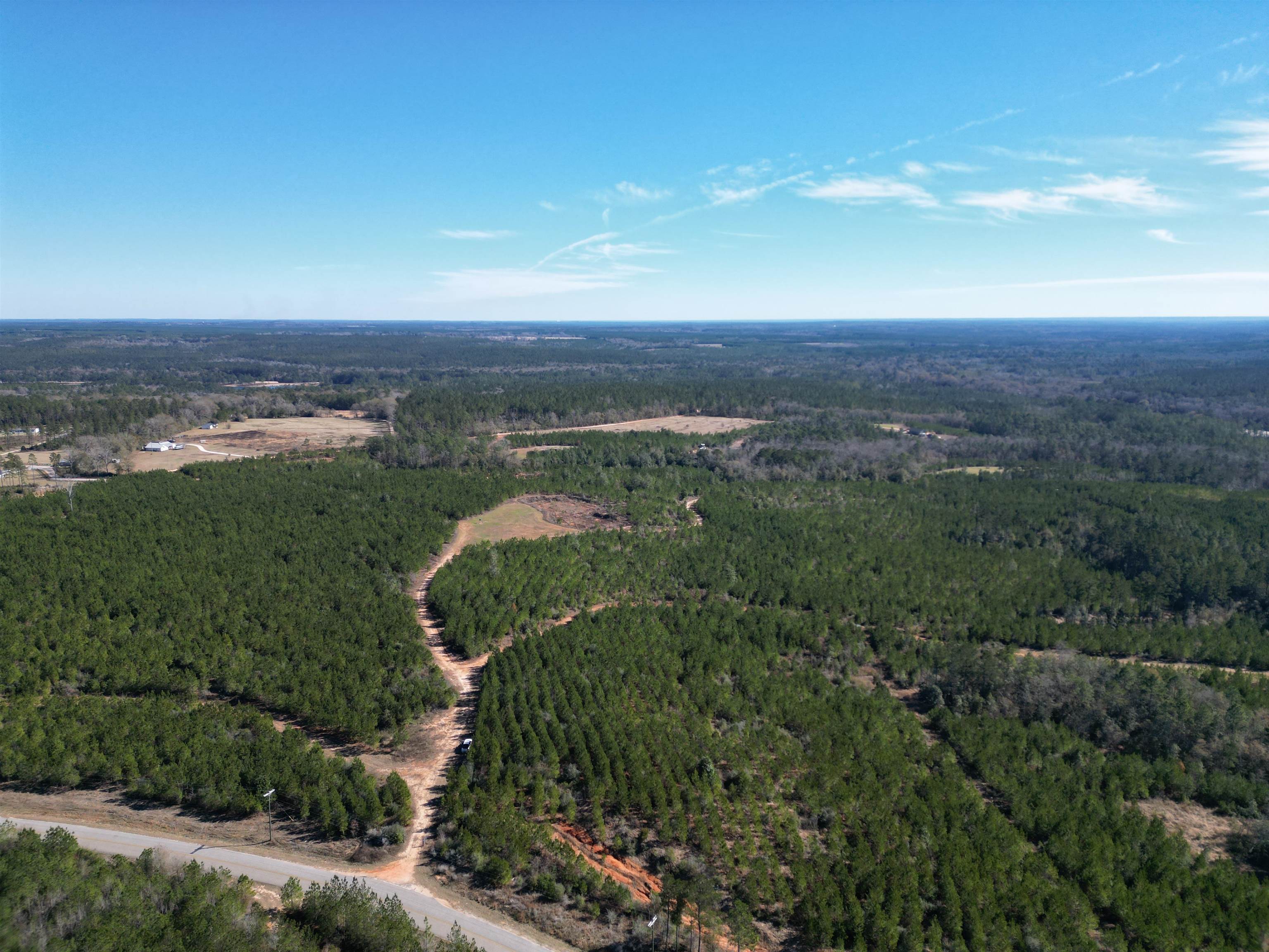 Lot 5 Robinsonville Road Atmore, AL 36502 - Photo 16 of 18