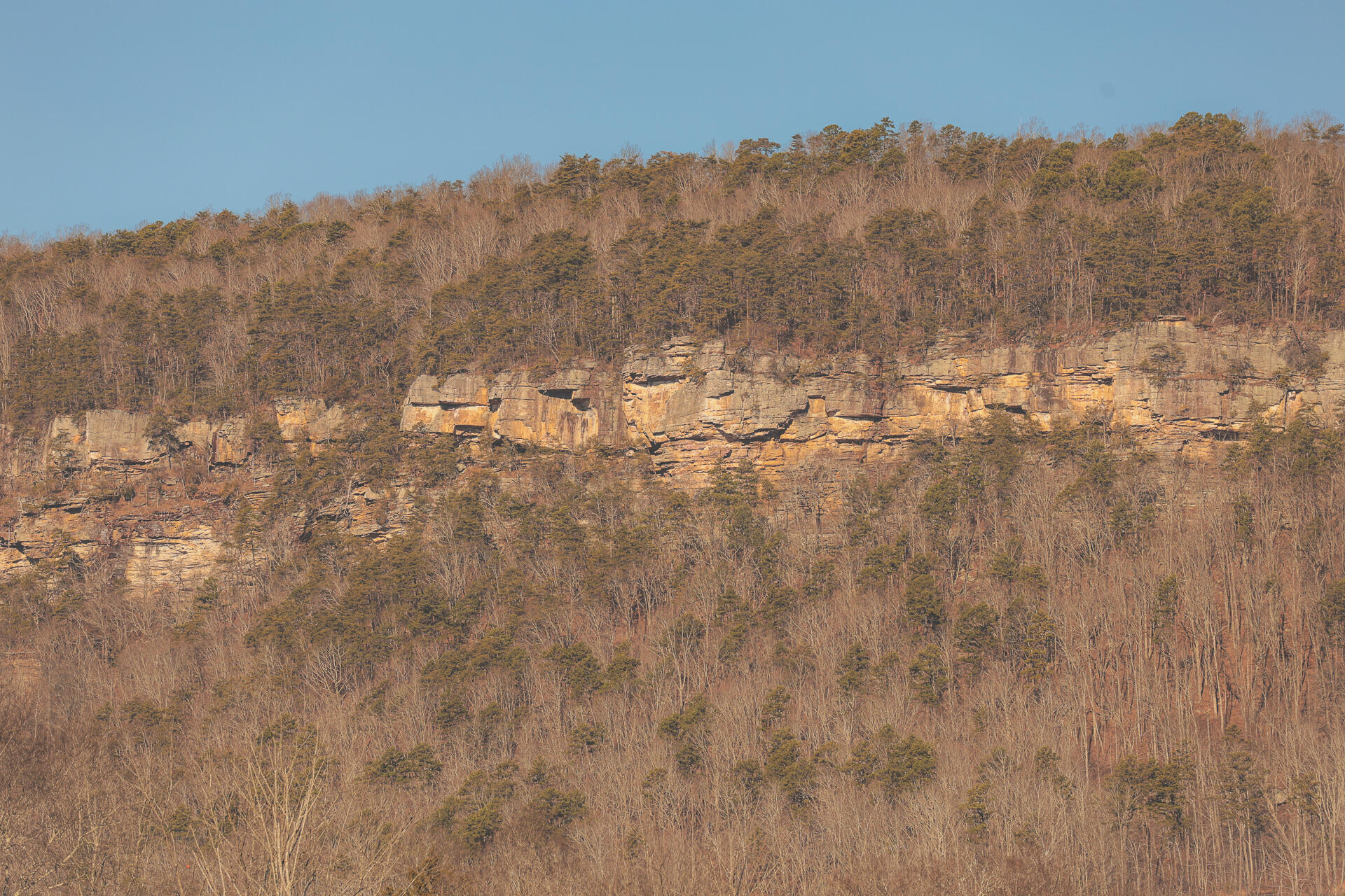 3229 Old State Highway 28 Dunlap, TN 37327 - Photo 13 of 92 8