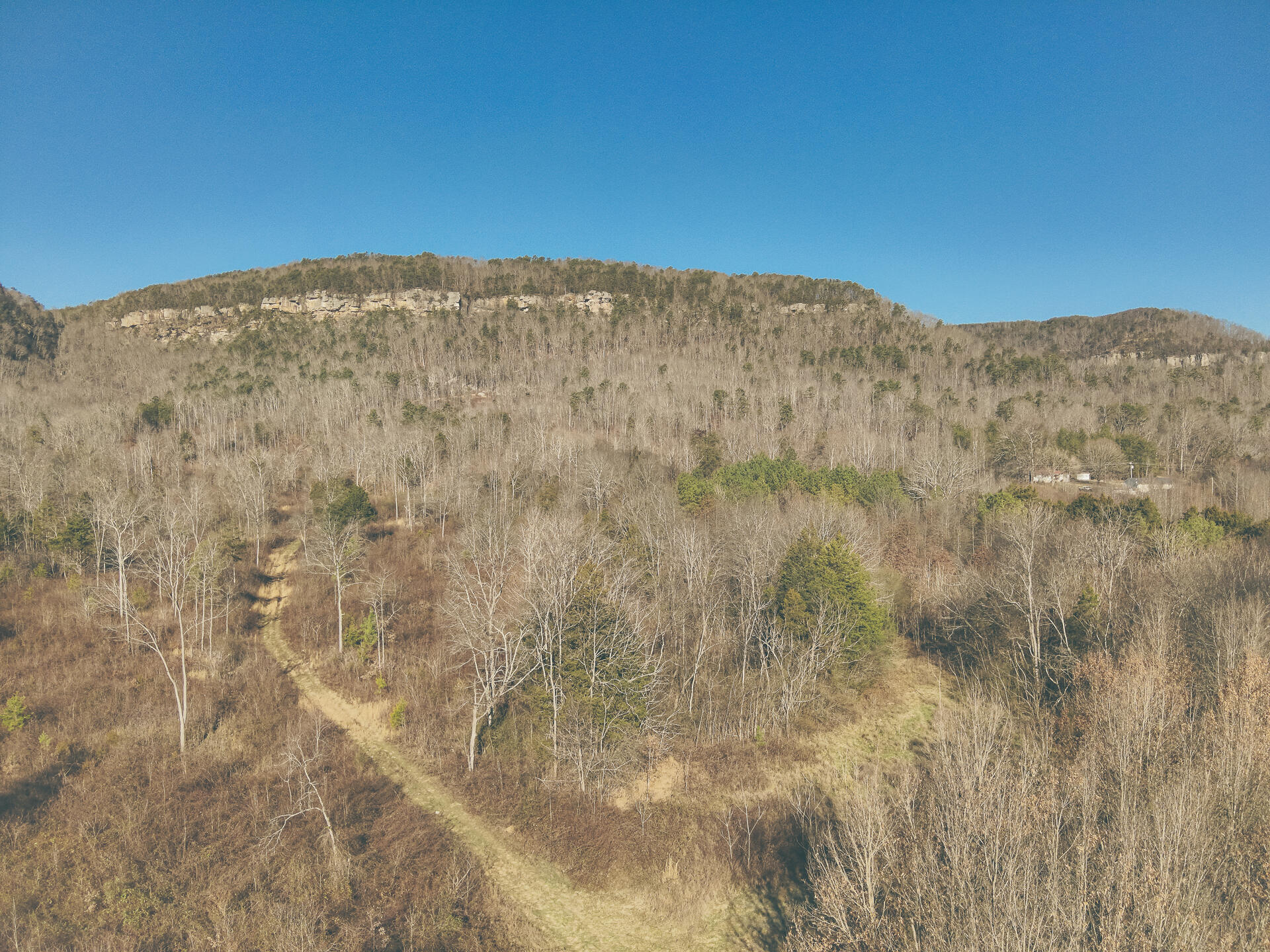3229 Old State Highway 28 Dunlap, TN 37327 - Photo 16 of 92 11