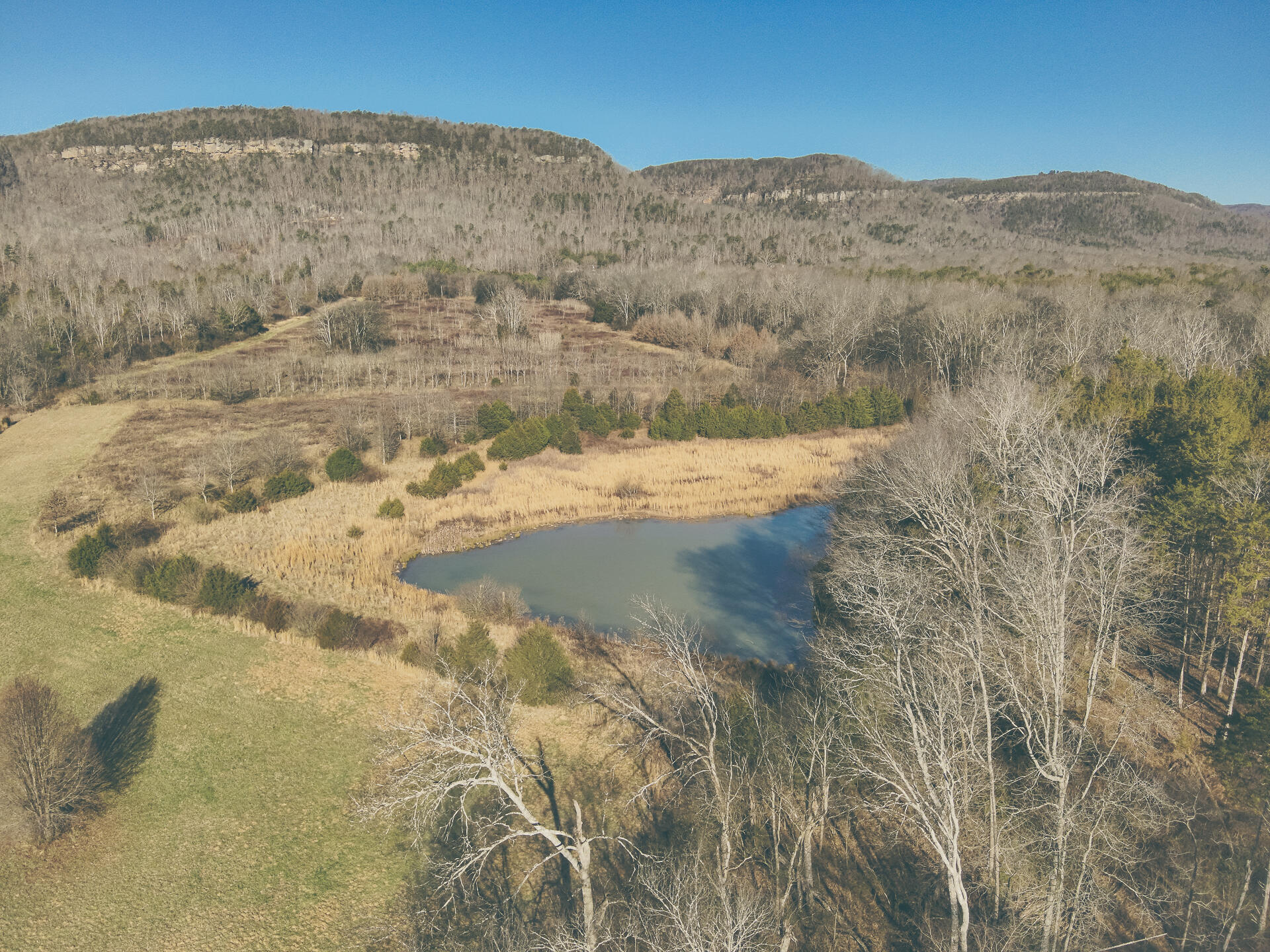 3229 Old State Highway 28 Dunlap, TN 37327 - Photo 18 of 92 13