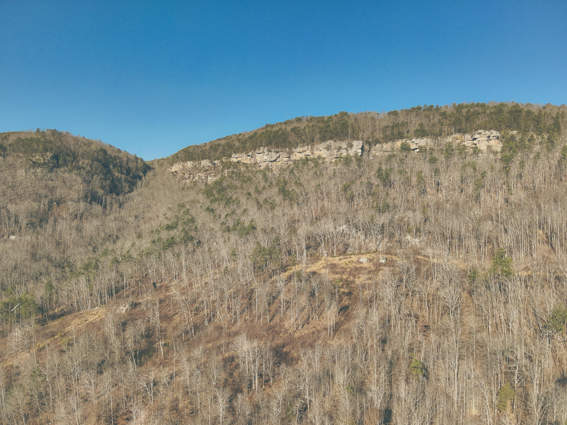 3229 Old State Highway 28 Dunlap, TN 37327 - Photo 21 of 92 16