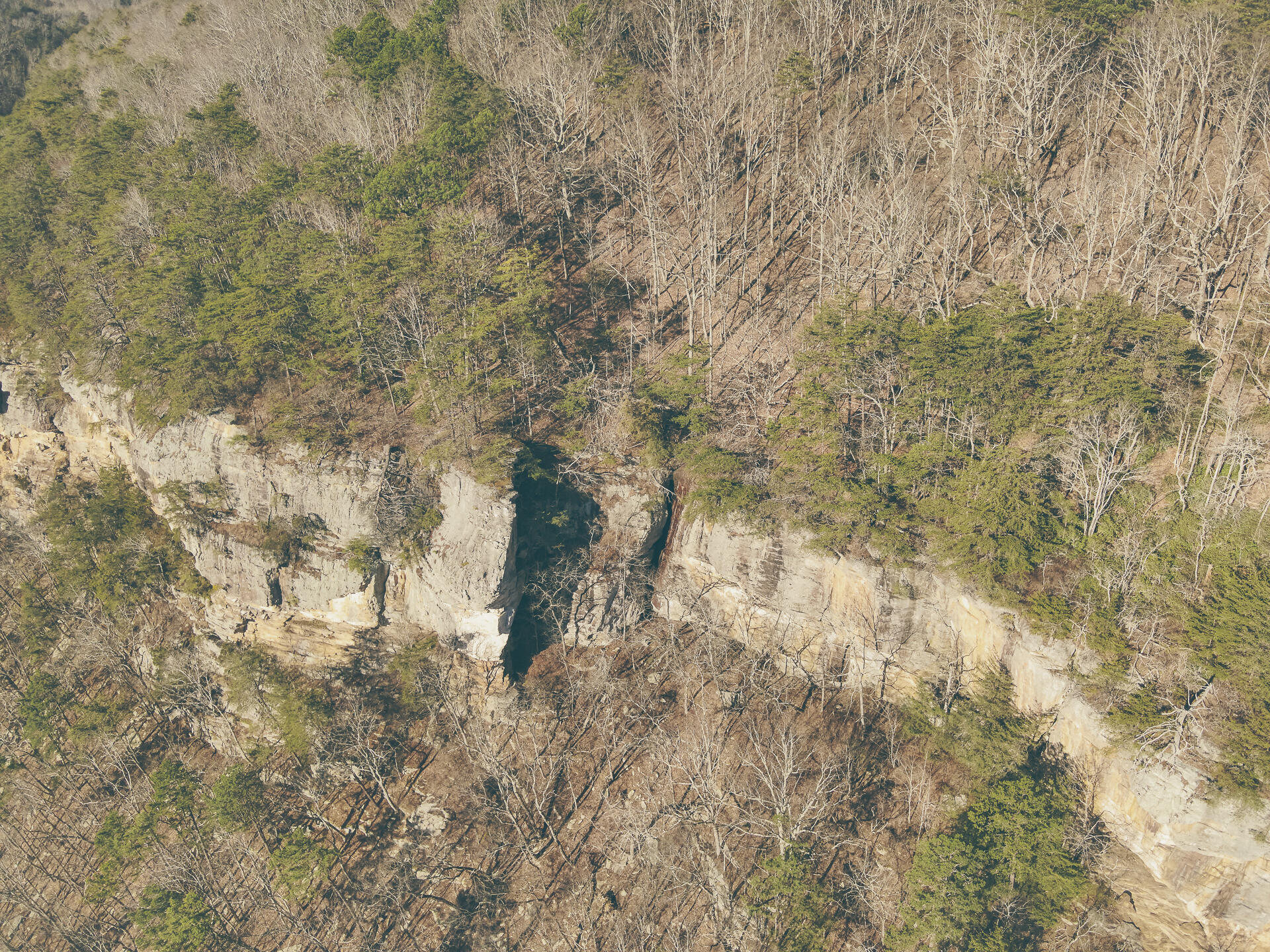 3229 Old State Highway 28 Dunlap, TN 37327 - Photo 23 of 92 18