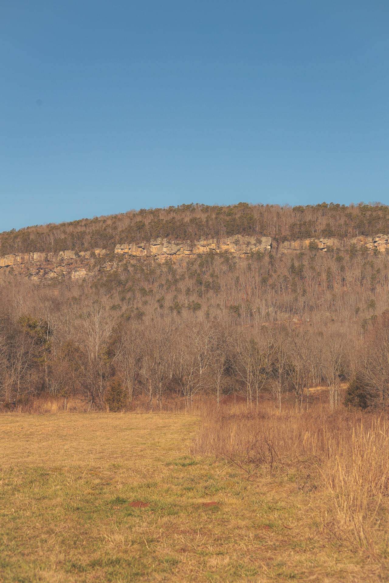 3229 Old State Highway 28 Dunlap, TN 37327 - Photo 26 of 92 22