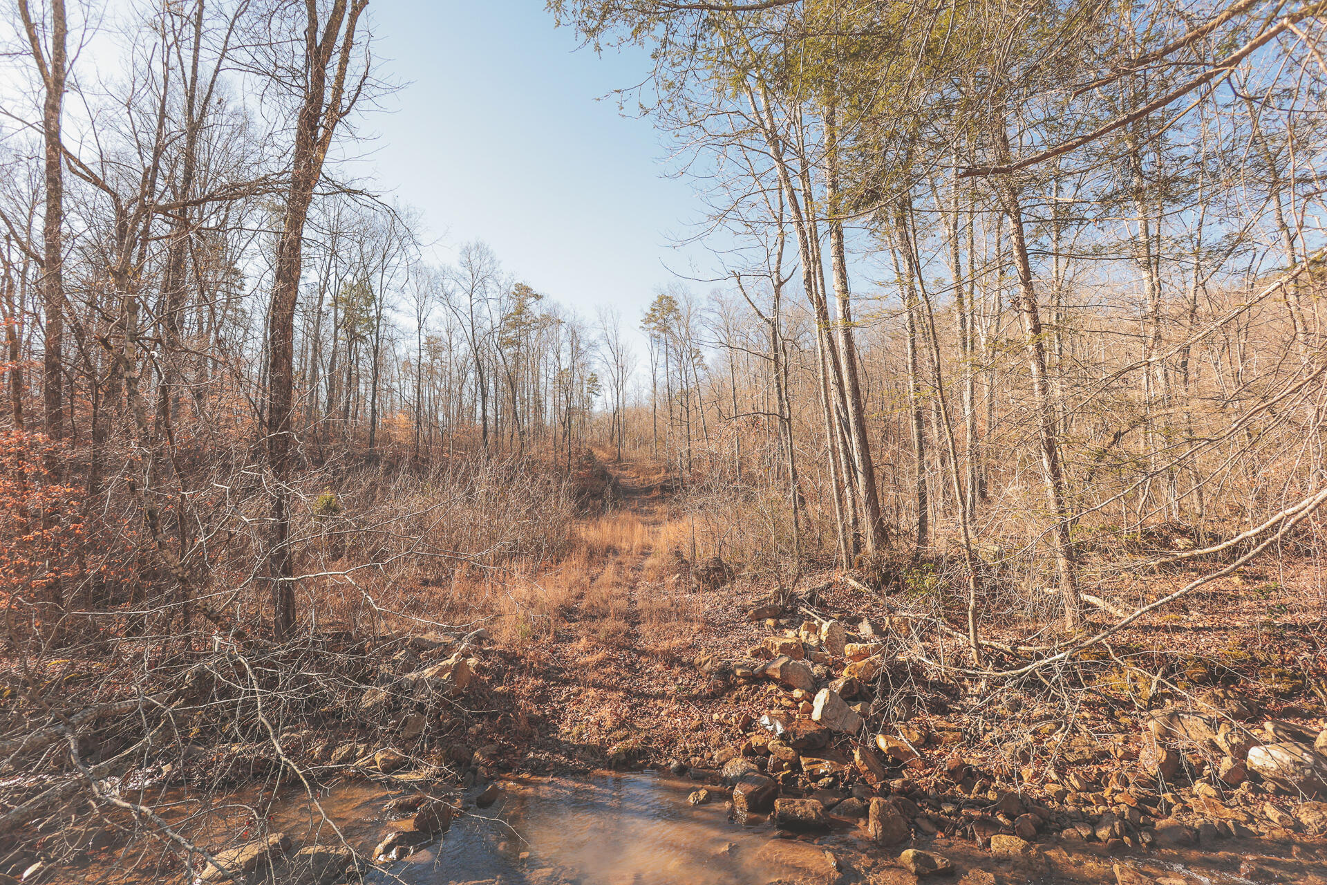 3229 Old State Highway 28 Dunlap, TN 37327 - Photo 29 of 92 25